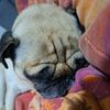 matiasvy_1203