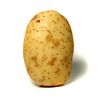 potato_potato133