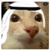 arabic.cat2211