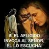 user4293946966114