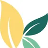 kreolitycosmetique