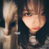 lovescatt6