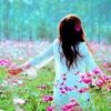 shima.akhtar13