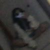 manuela.bustillo