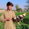 rahimcheema110