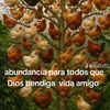 queylin.de.paz
