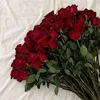khadra.cali44