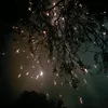 eshasheikh746