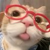 luvchu_rvn25