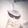 xsilloz