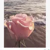robynsspamacc0