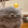 ezrosx