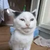 nfskwkwndjdo