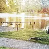 cody.scade67