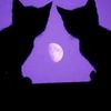 purple_dreamzzz14