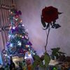 user1270683339914