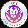 ace_zen_x