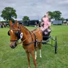 sophie_0528