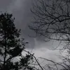 ali_dra4