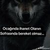 _.user_4568