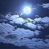 shahida3273