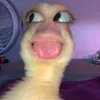 kw3k_kw3kk