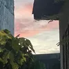 _nvcole04