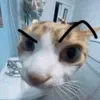 adoumaxxx