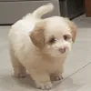 sungabun_