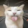 gtyope1