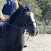 jaimeandhorses
