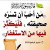 mohamed.hamed117