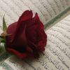 user88161671243472