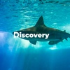 discovery.channel28