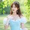 paneiphyu23336