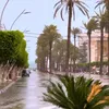 faysel.kadouri