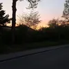 je_my595