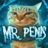 mr_pen1s_cat