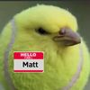 matt_tennis_bird