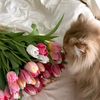 nour.el.houda8773