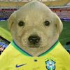 daniel.carrasquer6