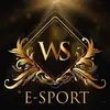 esport.ws.warrior