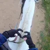 riding.with.elsa