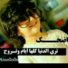 dlal.mohammed7