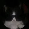 milo..qxz