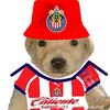 matiasalejandroma6