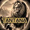 tantana_4701