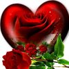 lina_lina_1233