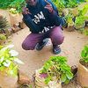 user7501424572531