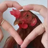 amaurymachado2